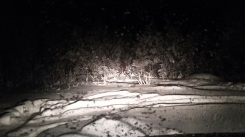 Снежный привет из Сургута!:)