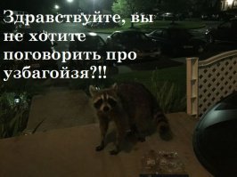 Еще и енот там был. Узбагаивал видимо...