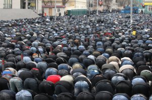 Вот ещё, клещи-паразиты:Allakh akbaris parasitium.