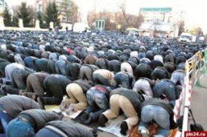 Вот ещё, клещи-паразиты:Allakh akbaris parasitium.