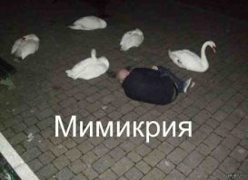 15 человек, идеально замаскировавшихся в окружающей среде