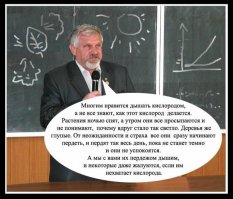 ааа...очередной адепт псевдопрофессора Жданова?