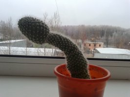 16 картинок, которые докажут вам, что вы испорченный человек