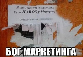Начинающие предприниматели, которые заставят вас улыбнуться 