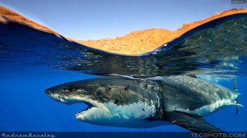 Как сделать такие красивые двухсредные снимки