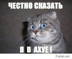 20 жутких фотографий старых цирков, которые доказывают, что там было совсем не до смеха