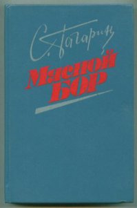 Станислав Гагарин написал вот эту книгу про 2 ударную.
Кто-то приволок её на КТП, я, в наряде по парку, прочёл её за сутки.