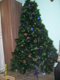 Почему девушки стонут во время полового акта