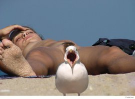 Ну а, как же "классика" ?))))