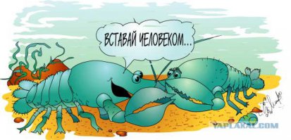 Поржал !