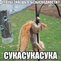  Миссия невыполнима или на что только не пойдёшь, чтобы добраться до орехов