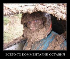 Сожгли машину из-за собаки