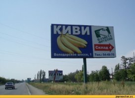 Киви, оно такое...