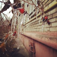 На новом айфоне камера хорошая.Зеркалку теперь тоже редко в руки беру.