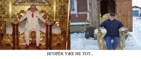 Вестник социальных сетей