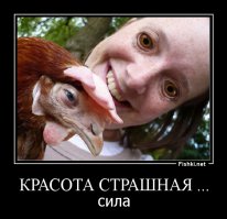 16 фотографий, с которыми что-то не так