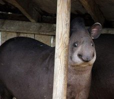 Леонид Аркадьевич?)