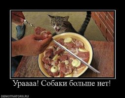 Подборка демотиваторов