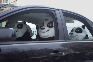 16 фотографий, с которыми что-то не так