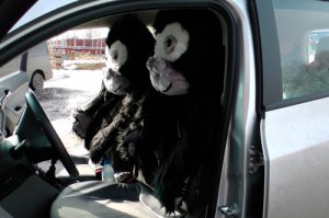 16 фотографий, с которыми что-то не так