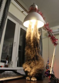 ушло время  охренительных историй