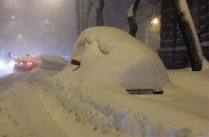 В этом случае есть надежда, у нас в прошлом году было так (фото не мое)