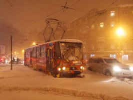 В этом случае есть надежда, у нас в прошлом году было так (фото не мое)