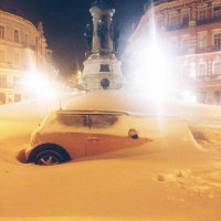 В этом случае есть надежда, у нас в прошлом году было так (фото не мое)