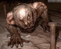 Это нога....кого надо нога!