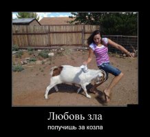 Я так понимаю, что она козла уже подоила. Но ему не понравилось. :)