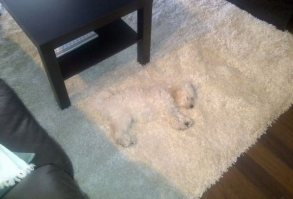 Мастера конспирации, которых все-таки раскрыли 