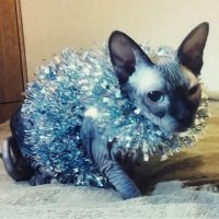 Шуба синтетическая - гринпис доволен.