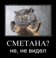 Мастера конспирации, которых все-таки раскрыли 