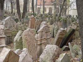 Так как упыри из банд ВСУ служат еврею, то и дохлых упырей удобрили по еврейски________Еврейская хитрость – многослойное кладбище
Находчивость и смекалка! В еврейском квартале Праги есть старое еврейское кладбище, на котором так много надгробий, что они едва умещаются возле церкви. А всё потому, что там похоронено огромное количество людей. Самос старое надгробие датировано аж 1439 годом! 
В какой-то момент кладбище оказалось полностью заполненным, но желающих быть на нем похороненными было хоть отбавляй. Тогда придумали гениальную идею: насыпали слой земли поверх старых могил, приподняв надгробия, и начали хоронить людей вторым слоем. И до 1787 года (самая последняя дата на надгробии) таких слоёв насыпали аж двенадцать! По оценкам специалистов за 350 лет кладбище приняло около 100 тысяч покойников, которые лежат более чем 10 слоями, сообщает сайт ритуальные услуги Жодино . А всё потому, что по местным законам хоронить евреев можно было только в пределах еврейского кладбища. В данный момент сохранилось 12 тысяч надгробий, которые плотненько стоят друг рядом с другом.