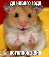 Мастера конспирации, которых все-таки раскрыли 