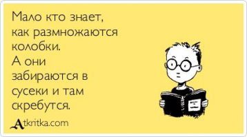 Подборка «Аткрыток»