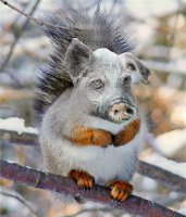 1 января - самый короткий день в году. Уже совсем скоро! 