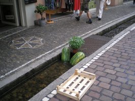 Бывал я во Фрайбурге (Германия). Так вот там тротуары выложены из камушков. Несколько улиц! Ходить - сплошное удовольствие