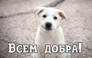 Дорогие Друзья, поздравляю вас с Новым Годом! Дай вам бог всего самого лучшего. Ураааааааа.......
