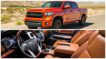 рабочие лошадки