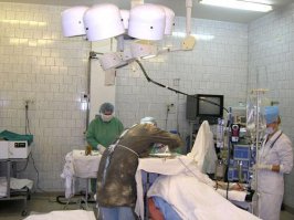 Вод ведь соляне, подобрал.
Госпиталь в провинциальном Балтийске и в европейской Украине.
Сравнивайте.