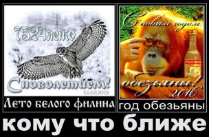 Гороскоп на 2016 год и талисманы, которые обязательно принесут удачу