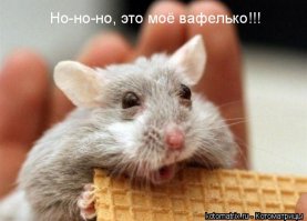 Голландская художница рисует очаровательные иллюстрации мышей и крыс