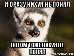 Малые дети в дремучем лесу