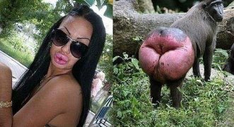 Девушка фотографа, которая не любит фотографироваться: серия милейших снимков