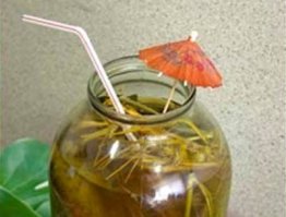 Хочется занять себя всем перечисленным, а получается череда заведомо запрограммированных ингредиентов ...