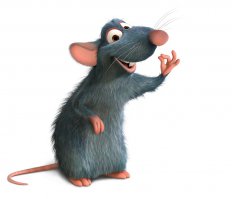 Голландская художница рисует очаровательные иллюстрации мышей и крыс