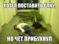 И поэтому припёр домой берёзу...