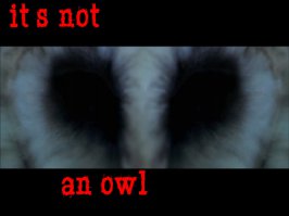 Очень странные соседи