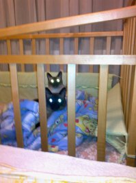 Захват детской кроватки